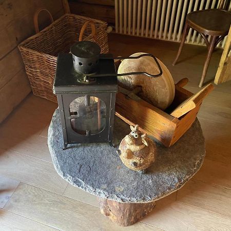 Chalet Alpage Proche Geneve Megevette Luaran gambar