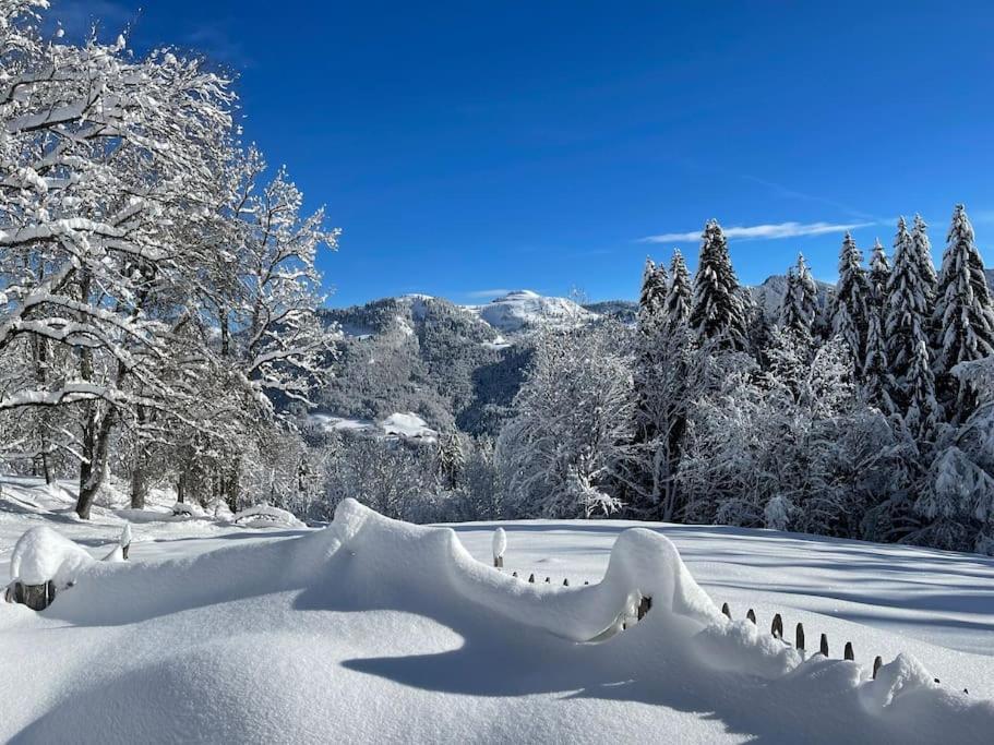 Chalet Alpage Proche Geneve Megevette Luaran gambar