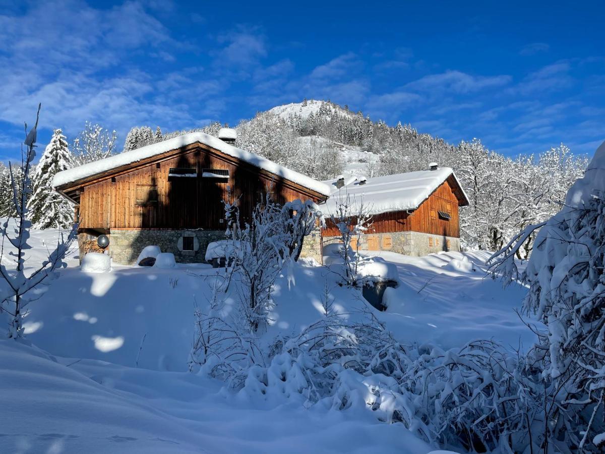 Chalet Alpage Proche Geneve Megevette Luaran gambar