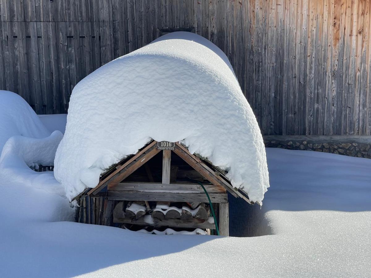 Chalet Alpage Proche Geneve Megevette Luaran gambar