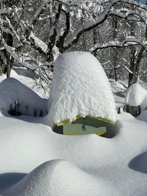 Chalet Alpage Proche Geneve Megevette Luaran gambar