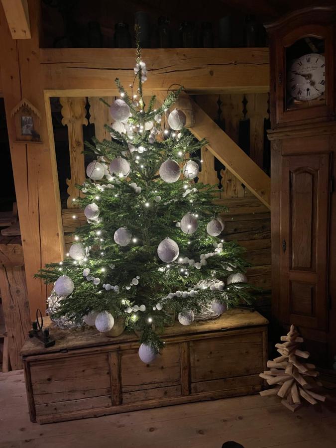 Chalet Alpage Proche Geneve Megevette Luaran gambar