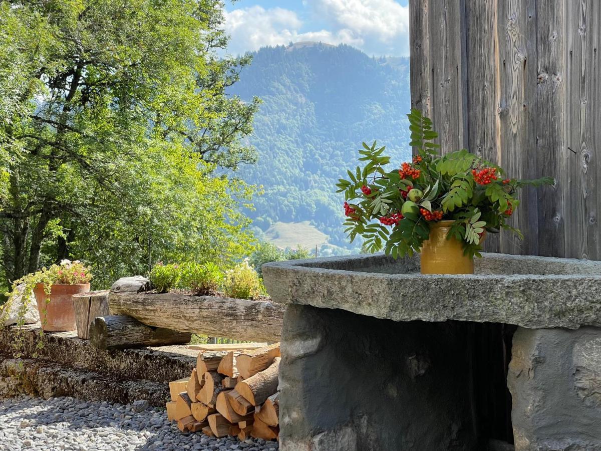 Chalet Alpage Proche Geneve Megevette Luaran gambar