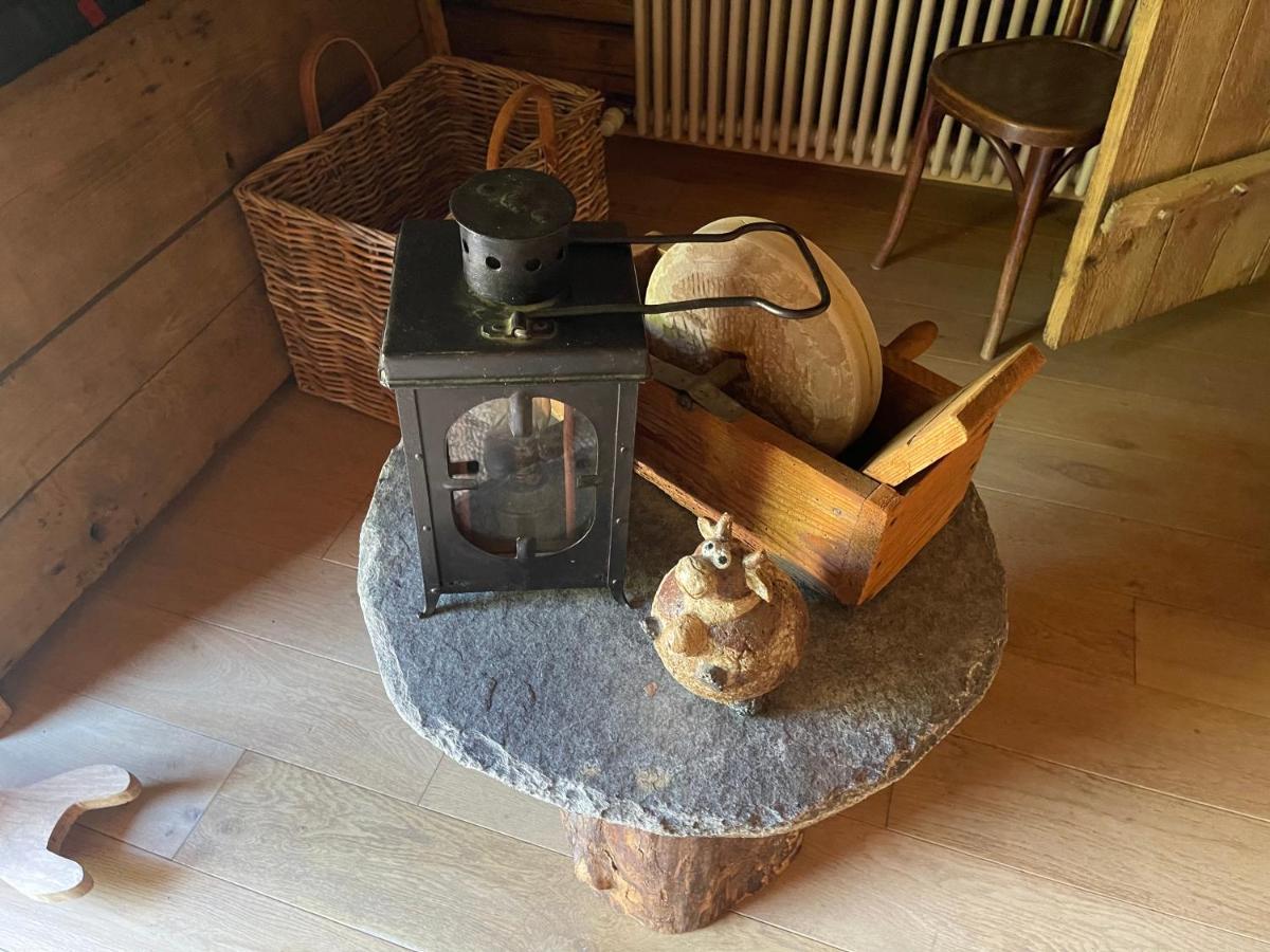 Chalet Alpage Proche Geneve Megevette Luaran gambar